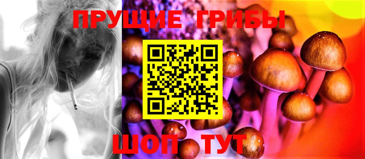 Галлюциногенные грибы мицелий Домодедово