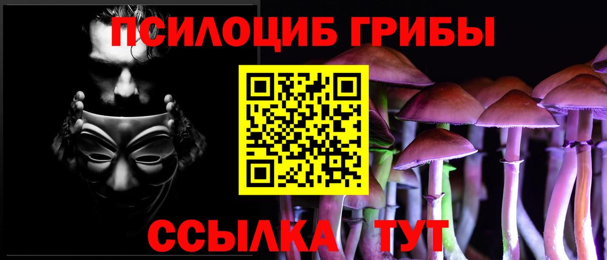 купить   Галлюциногенные грибы Cubensis  Галлюциногенные грибы ЛСД  Вход с VPN  Домодедово 
